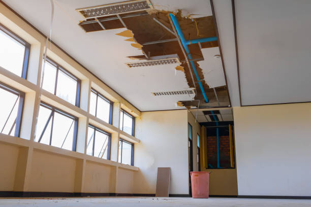 Best Sewage cleanup and water damage restoration  in Myrtle Beach, SC