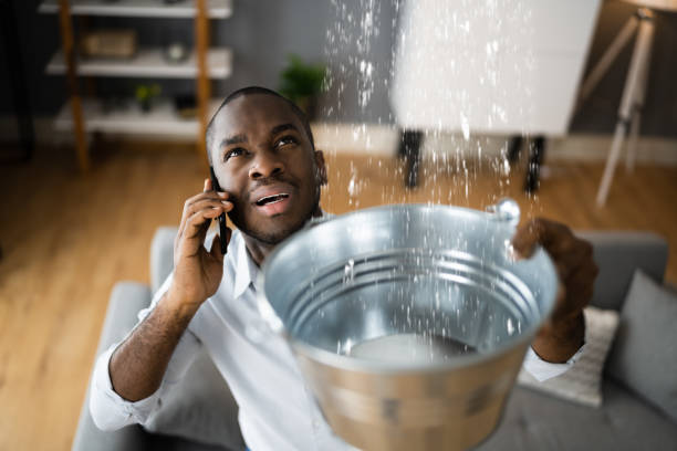 Best Water damage cleanup near me  in Myrtle Beach, SC