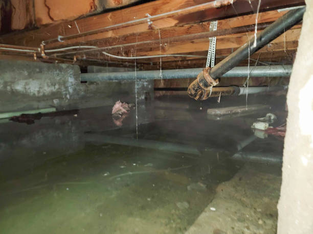 Water damage restoration experts in Myrtle Beach, SC