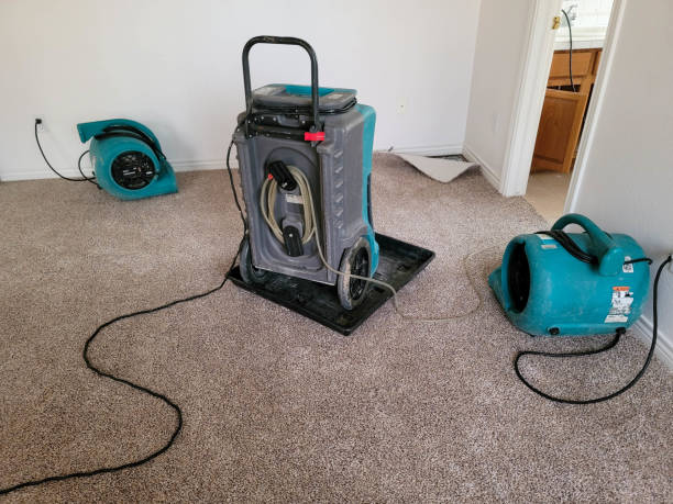 Best Carpet water damage restoration  in Myrtle Beach, SC