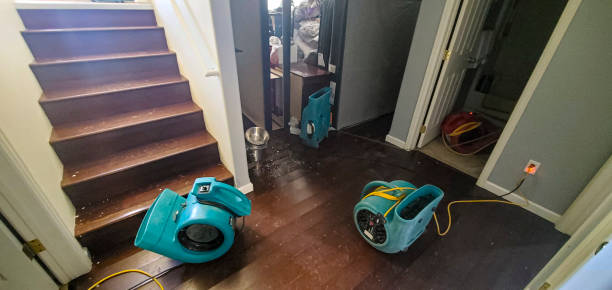 Best Water damage restoration near me  in Myrtle Beach, SC