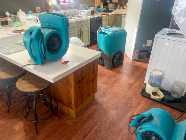 Best Professional water damage repair  in Myrtle Beach, SC