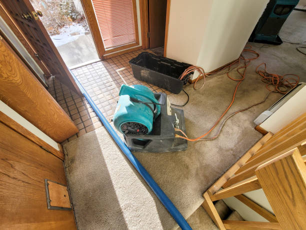 Best Emergency water damage restoration  in Myrtle Beach, SC