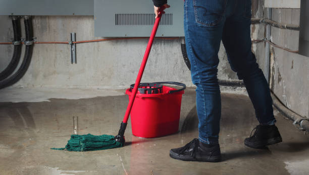 Best Flood damage cleanup  in Myrtle Beach, SC