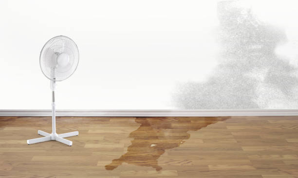 Best Water damage restoration process  in Myrtle Beach, SC